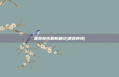 岷县疫情最新确诊(岷县病情)