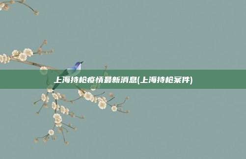 上海持枪疫情最新消息(上海持枪案件)