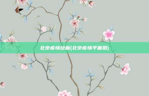 北京疫情绘画(北京疫情平面图)