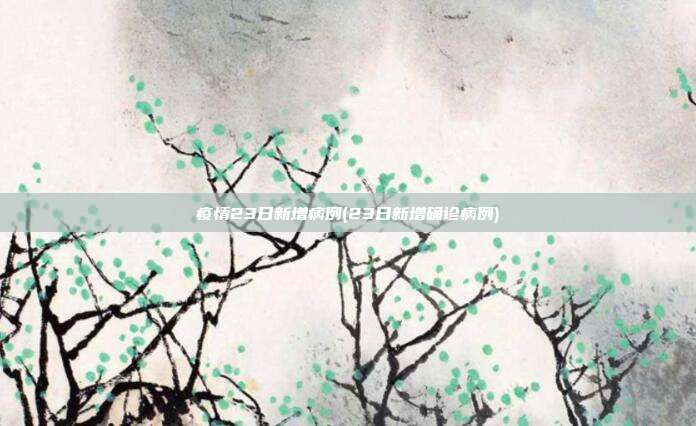 疫情23日新增病例(23日新增确诊病例)