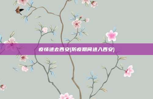 疫情进去西安(防疫期间进入西安)