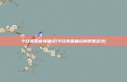 今日美国疫情确诊(今日美国确诊病例是多少)