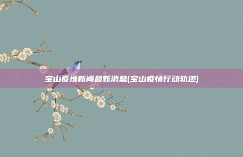 宝山疫情新闻最新消息(宝山疫情行动轨迹)