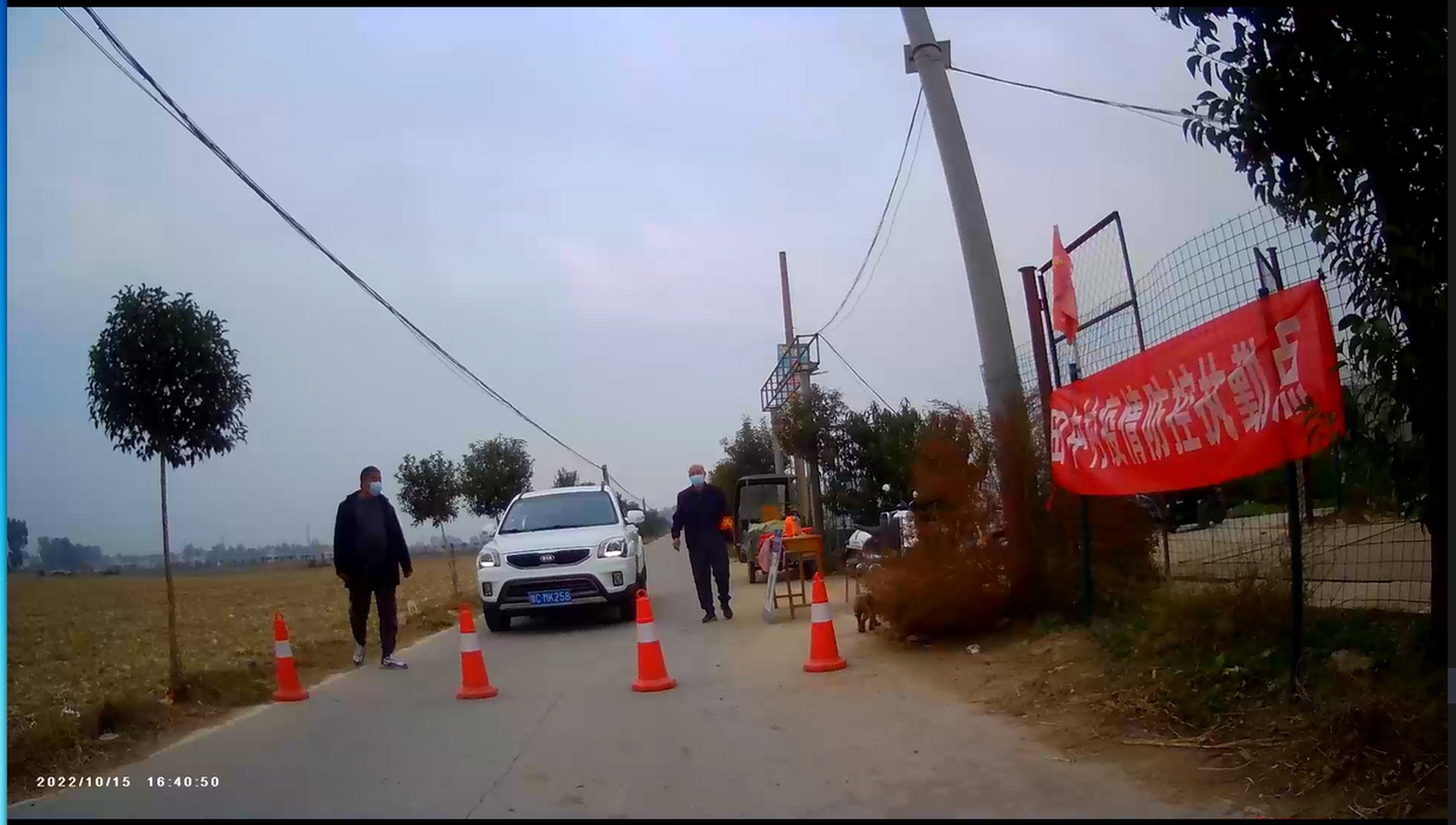 疫情河南洛阳(河南洛阳病情)