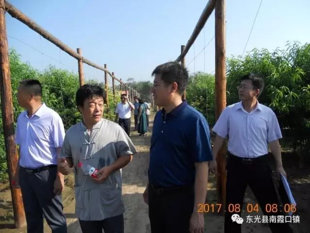 2017东光限行(东光限行区域)